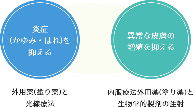 治療法は大きく、①炎症(かゆみ・はれ)を直接抑える　②異常な皮膚の増殖を抑える　の2つに分けられます。